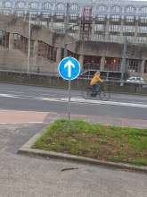 Bild zu gemeldetem Anliegen vom *2024-10-16 15:29:13