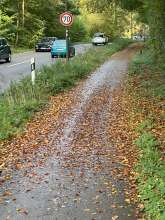 Fahrradweg mit nassen Laub bedeckt