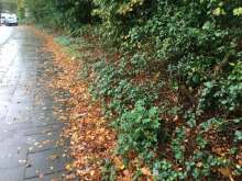 Bild zu gemeldetem Anliegen vom *2024-10-09 14:06:47