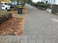 Bild zu gemeldetem Anliegen vom *2024-10-08 16:38:07