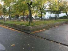 Bild zu gemeldetem Anliegen vom *2024-10-17 08:15:42