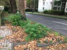 Bild zu gemeldetem Anliegen vom *2024-10-08 12:30:02