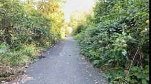 Bild zu gemeldetem Anliegen vom *2024-10-16 09:30:50
