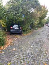 Bild zu gemeldetem Anliegen vom *2024-10-14 09:31:54