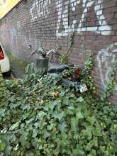 Bild zu gemeldetem Anliegen vom *2024-10-11 16:49:20