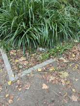 Bild zu gemeldetem Anliegen vom *2024-10-06 15:36:58