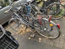 Bild zu gemeldetem Anliegen vom *2024-10-04 07:06:11