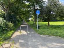 Bild zu gemeldetem Anliegen vom *2024-10-08 22:25:21