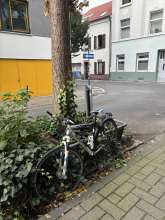 Bild zu gemeldetem Anliegen vom *2024-10-07 15:29:53