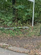 Bild zu gemeldetem Anliegen vom *2024-10-13 10:24:20