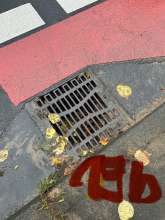 Bild zu gemeldetem Anliegen vom *2024-10-09 09:59:18
