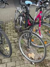 Bild zu gemeldetem Anliegen vom *2024-10-06 15:36:58