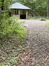 Bild zu gemeldetem Anliegen vom *2024-10-12 12:16:58