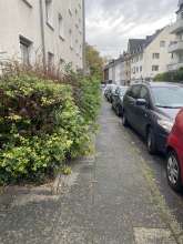 Bild zu gemeldetem Anliegen vom *2024-10-14 12:30:46