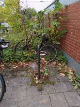Bild zu gemeldetem Anliegen vom *2024-11-10 06:29:37