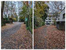 Bild zu gemeldetem Anliegen vom *2024-11-14 15:30:09