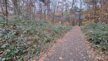 Parkanlagen Bieselwald im Dornröschenschlaf