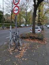 Bild zu gemeldetem Anliegen vom *2024-11-09 16:07:57