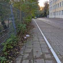 Bild zu gemeldetem Anliegen vom *2024-11-05 17:49:35