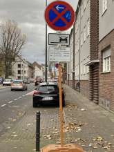 Bild zu gemeldetem Anliegen vom *2024-11-25 15:35:07