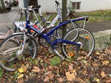 Bild zu gemeldetem Anliegen vom *2024-11-27 16:20:48