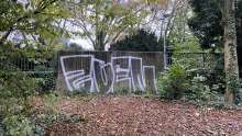 Bild zu gemeldetem Anliegen *2024-11-10 15:27:06