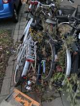 Bild zu gemeldetem Anliegen vom *2024-11-26 18:29:52