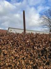 Bild zu gemeldetem Anliegen vom *2024-11-28 17:01:22