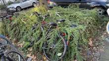 Bild zu gemeldetem Anliegen vom *2024-11-28 09:28:56
