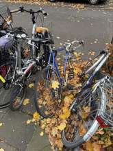 Bild zu gemeldetem Anliegen vom *2024-11-10 09:28:44