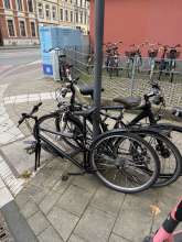 Bild zu gemeldetem Anliegen vom *2024-11-10 09:52:37