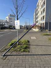 Bild zu gemeldetem Anliegen vom *2024-11-29 09:27:44