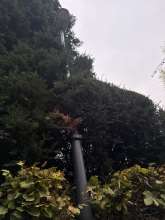 Bild zu gemeldetem Anliegen vom *2024-11-09 15:30:09