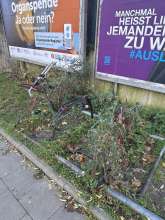 Bild zu gemeldetem Anliegen vom *2024-11-26 12:31:17