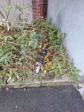Bild zu gemeldetem Anliegen vom *2024-12-03 09:30:44