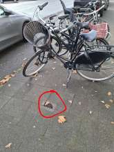 Bild zu gemeldetem Anliegen vom *2024-12-03 11:40:49
