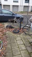 Bild zu gemeldetem Anliegen vom *2024-12-10 11:09:44