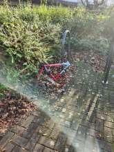 Bild zu gemeldetem Anliegen vom *2024-12-01 13:16:43