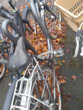 Bild zu gemeldetem Anliegen vom *2024-12-04 16:18:10