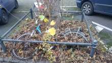 Bild zu gemeldetem Anliegen vom *2024-12-08 16:20:03