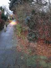 Bild zu gemeldetem Anliegen vom *2024-12-21 16:35:35