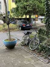Bild zu gemeldetem Anliegen vom *2024-12-06 18:36:25