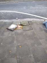Bild zu gemeldetem Anliegen vom *2024-12-03 12:30:03