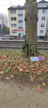 Bild zu gemeldetem Anliegen vom *2024-12-04 12:31:32