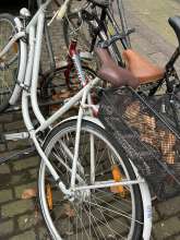 Bild zu gemeldetem Anliegen vom *2024-12-09 10:26:35