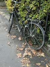 Bild zu gemeldetem Anliegen vom *2024-12-12 08:36:08