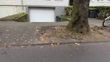Bild zu gemeldetem Anliegen vom *2024-12-23 09:32:30