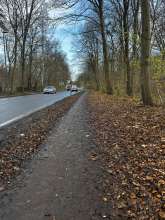 Bild zu gemeldetem Anliegen vom *2024-12-03 09:30:44
