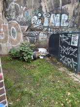 Bild zu gemeldetem Anliegen vom *2024-12-18 06:32:59