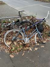 Bild zu gemeldetem Anliegen vom *2024-12-13 12:35:29
